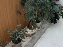 -优诺口腔(华东总院)