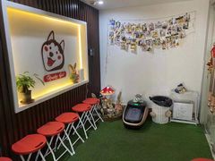 等位区-Husky Go! 哈士奇体验馆·宠物咖啡厅狗咖