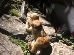 -南山植物园