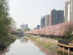 -大望京公园