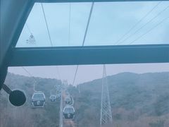 -普陀山风景区-佛顶山