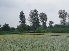 -田峪河公园