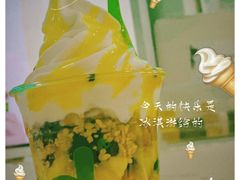 -Salud撒露欧洲冻酸奶(五道口购物中心店)