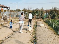 -小鱼草莓采摘园农家乐·小鱼餐厅