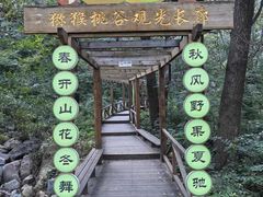 -大岭沟猕猴桃谷风景区