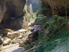 -鹿院坪生态旅游景区