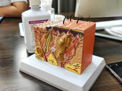 -雍禾植发全国连锁