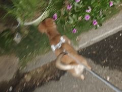 -宠颐生宠物医院·骨外科·犬猫全科诊疗中心(池州店)