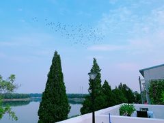 -素心小筑(后沙裕镇店)