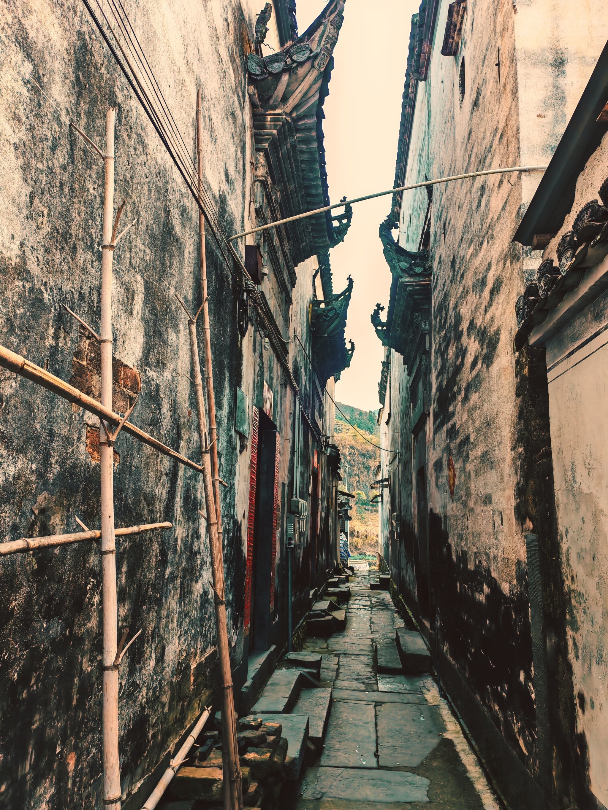 小巷深处有人家