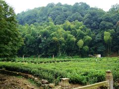 -杭州西湖风景名胜区-三生石