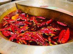 -小龙坎火锅(总店)