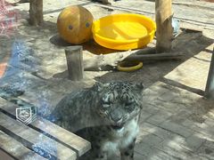 -青藏高原野生动物园