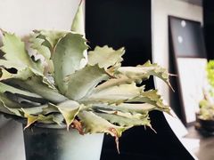 -简屋书店