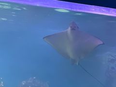 -常州海昌海洋探索馆