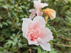 -全国青少年井冈山革命传统教育基地