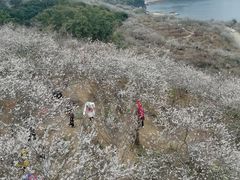 -广州市流溪河国家森林公园
