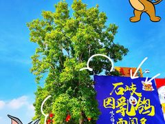 -石岐佬中山菜馆(张溪店)