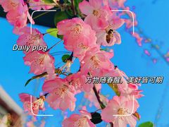 -东棠花园餐厅(湖工大店)