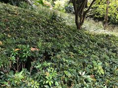 -乌山风景区