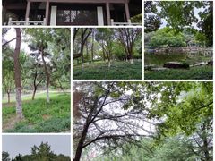 -范蠡湖公园