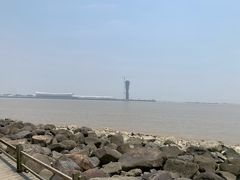 -吴淞口国际邮轮码头-停车场