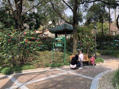 景点-华山儿童公园