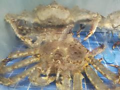 -外滩·云南人家(昆明旗舰店)