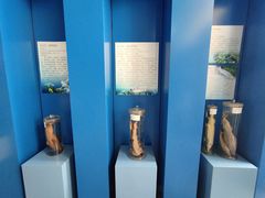 -上海海洋大学鱼文化博物馆(军工路校区)