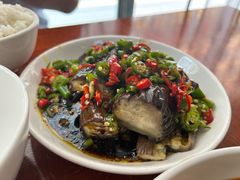 -巷子肥肠(科华巷店)