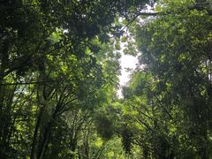 -南宁南湖公园
