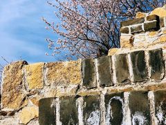 -居庸关长城