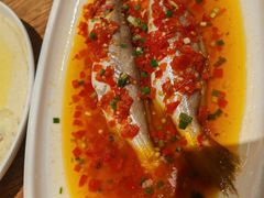 -山芋腔苏北菜(盐城滨海店)