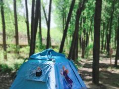-白河湾生态旅游一条川