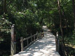 -陕西省红河谷森林公园
