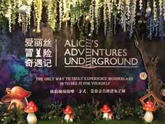 -爱丽丝冒险奇遇记