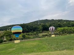 -东海半边山旅游度假区