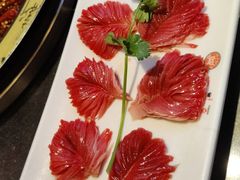 -一斗火锅·招财羊毛肚(北温泉九号店)