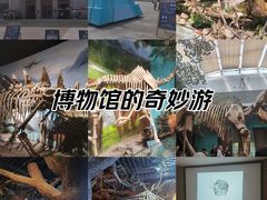 -甘肃省博物馆