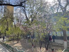 -文瀛公园