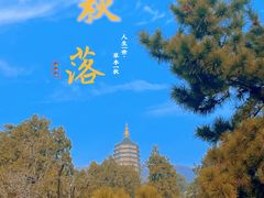 -八大处公园