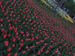 -长春公园(普阳街道)