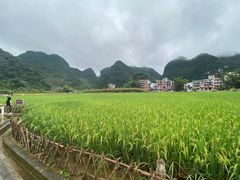 -靖西鹅泉风景区