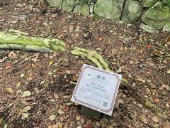 -城隍阁