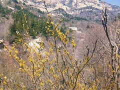 -崂山巨峰游览区