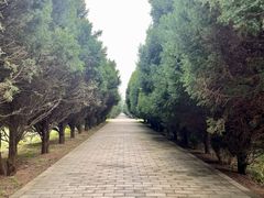 -秦始皇帝陵博物院-丽山园