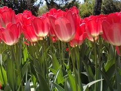 -香山公园-东宫门售票处