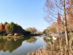 -贡湖湾湿地公园