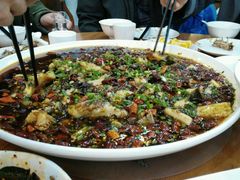 -功夫兔