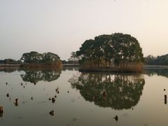 -梁鸿国家湿地公园